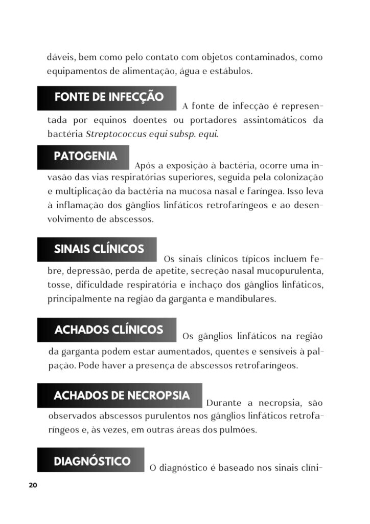 Paulo-amostra_page-0002 (1)